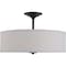 Progress Lighting Inspire Collection Graphite Three-Light 18" Semi-Flush Mount P350167-143 - alternate 3